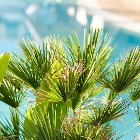 Cala Dor - Adults Only 4* Cala d'Or (Mallorca)